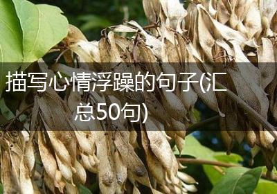 描写心情浮躁的句子(汇总50句)