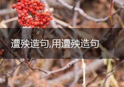 遭殃造句,用遭殃造句