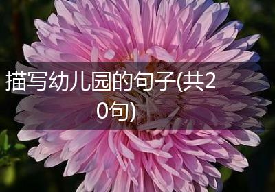 描写幼儿园的句子(共20句)