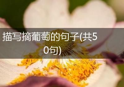 描写摘葡萄的句子(共50句)