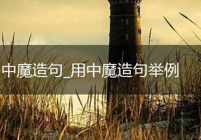 中魔造句_用中魔造句举例