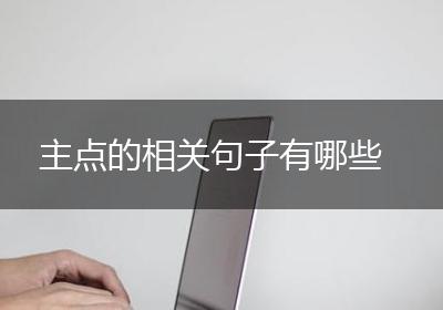 主点的相关句子有哪些