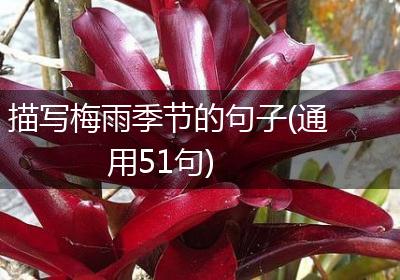 描写梅雨季节的句子(通用51句)