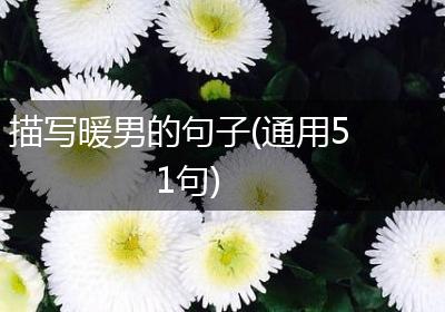 描写暖男的句子(通用51句)