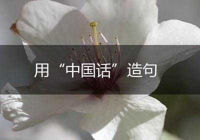 用“中国话”造句