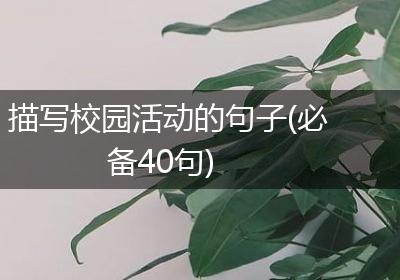 描写校园活动的句子(必备40句)
