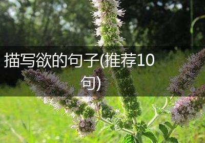 描写欲的句子(推荐10句)