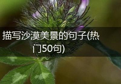 描写沙漠美景的句子(热门50句)