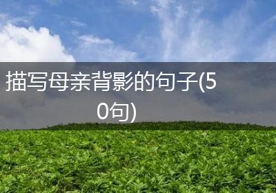 描写母亲背影的句子(50句)