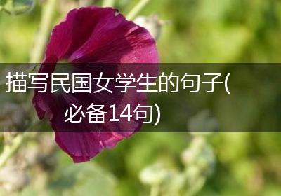 描写民国女学生的句子(必备14句)