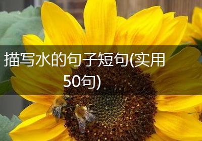 描写水的句子短句(实用50句)