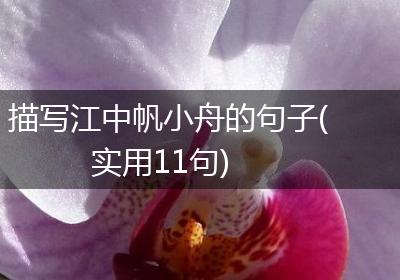 描写江中帆小舟的句子(实用11句)