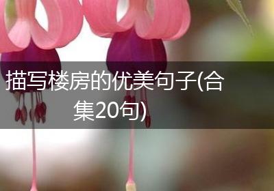 描写楼房的优美句子(合集20句)
