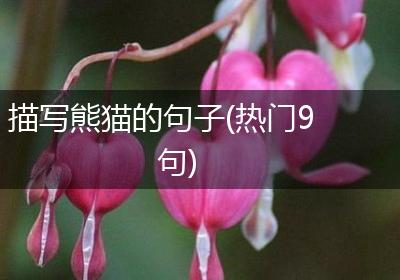 描写熊猫的句子(热门9句)