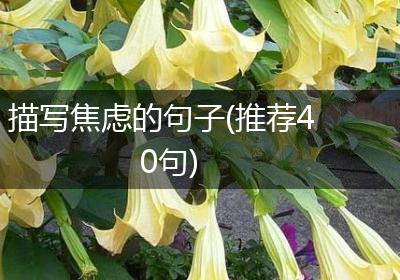 描写焦虑的句子(推荐40句)
