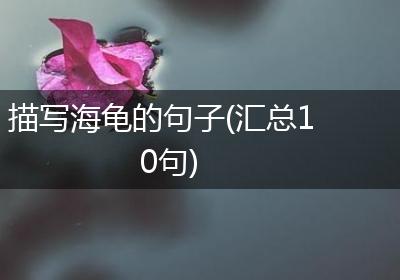 描写海龟的句子(汇总10句)