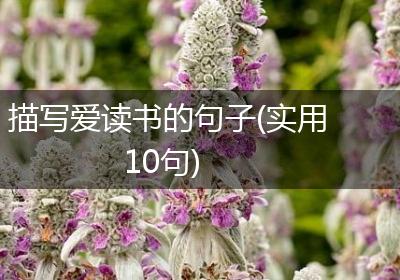 描写爱读书的句子(实用10句)