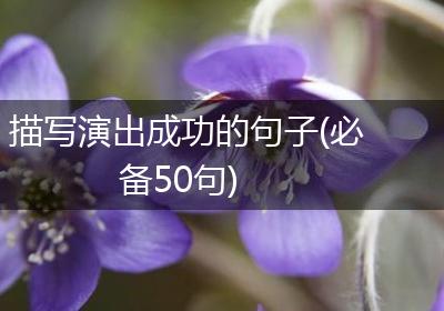 描写演出成功的句子(必备50句)