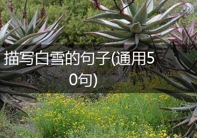描写白雪的句子(通用50句)
