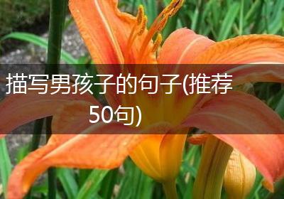 描写男孩子的句子(推荐50句)