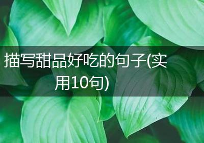 描写甜品好吃的句子(实用10句)