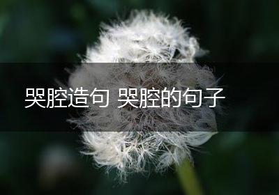 哭腔造句 哭腔的句子