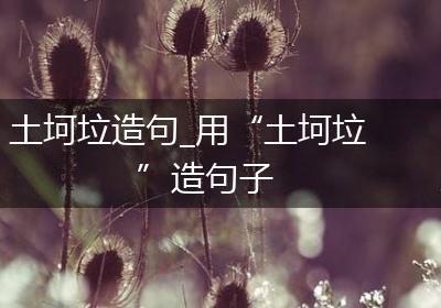 土坷垃造句_用“土坷垃”造句子