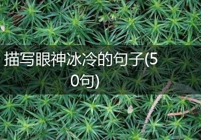 描写眼神冰冷的句子(50句)