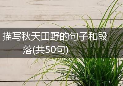 描写秋天田野的句子和段落(共50句)