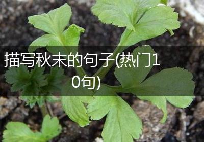 描写秋末的句子(热门10句)