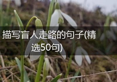 描写盲人走路的句子(精选50句)