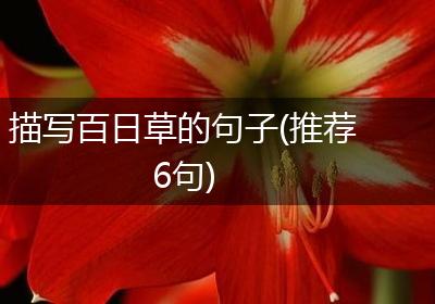 描写百日草的句子(推荐6句)