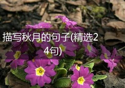 描写秋月的句子(精选24句)