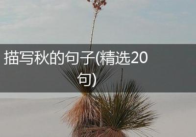 描写秋的句子(精选20句)