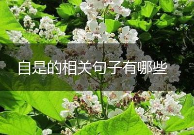 自是的相关句子有哪些