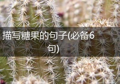 描写糖果的句子(必备6句)