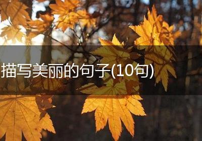 描写美丽的句子(10句)