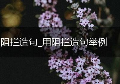 阻拦造句_用阻拦造句举例