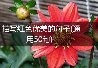 描写红色优美的句子(通用50句)