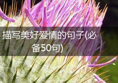 描写美好爱情的句子(必备50句)