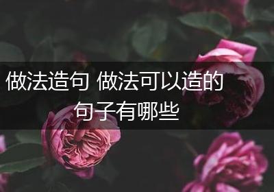 做法造句 做法可以造的句子有哪些