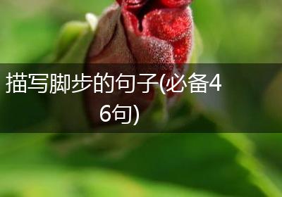 描写脚步的句子(必备46句)