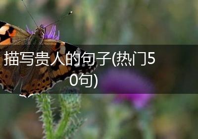 描写贵人的句子(热门50句)
