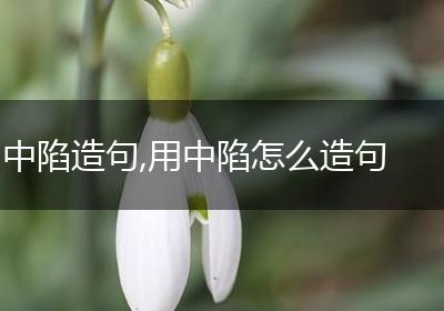 中陷造句,用中陷怎么造句