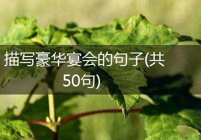 描写豪华宴会的句子(共50句)