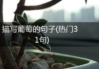 描写葡萄的句子(热门31句)