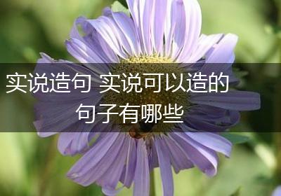 实说造句 实说可以造的句子有哪些