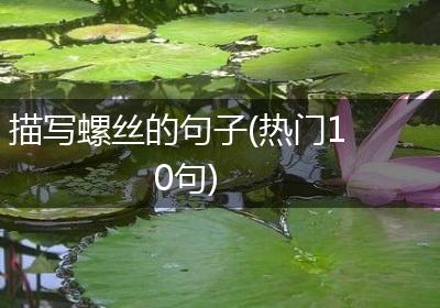 描写螺丝的句子(热门10句)