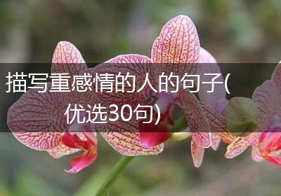 描写重感情的人的句子(优选30句)