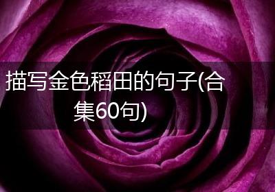 描写金色稻田的句子(合集60句)
